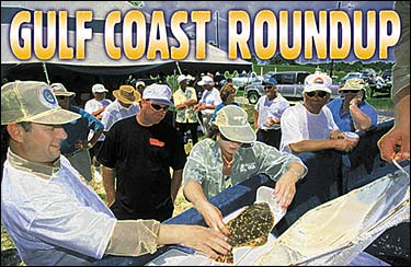 Gulf Coast Roundup