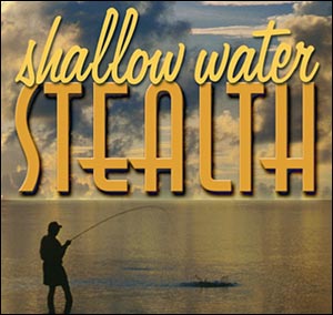 Shallow Water Stealth