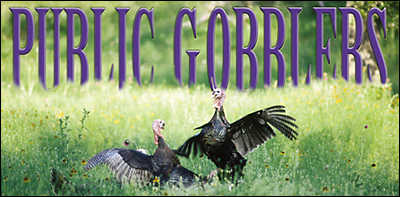 Public Gobblers