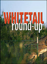 Whitetail Wrap-up